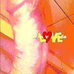 Antohaha1985@gmail.com