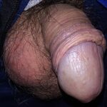 Alexandrvolgod182@gmail.com