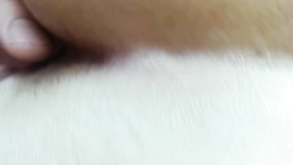 Пробное видео 2