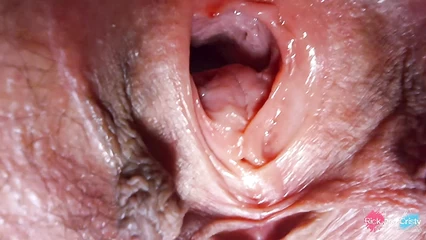 Детальное изучение женских половых органов